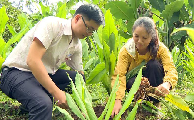 Thanh tra Bộ Lao động, TB&XH công bố Thanh tra CTMTQG giảm nghèo tại tỉnh Quảng Ngãi- Ảnh 3.